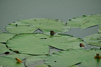 《向邪恶进军》开发商Cut to Bit解雇了大部分员工